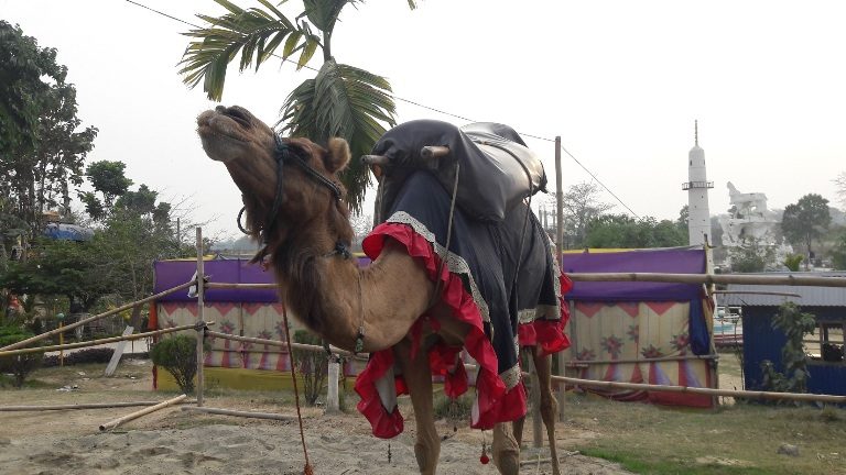 पर्यटक आकर्षित गर्दै गोकुलम