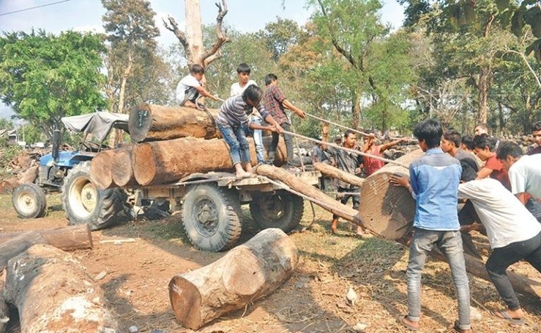 तिव्र वन फडानी रोक्न प्रदेश सरकारको निर्देशन