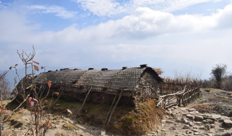 गर्मी बढेसँगै बेँशी छोड्दै लेकालीहरु