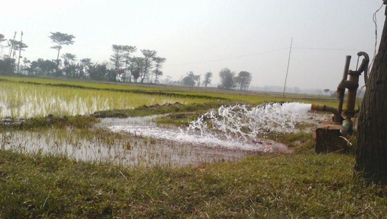 झापामा सौर्यउर्जा सिँचाइ प्रभावकारी बन्दै